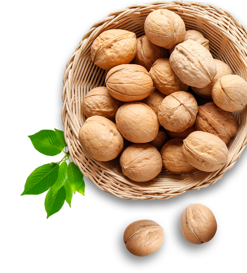 PP电子·5金狮(中国区)游戏官方网站