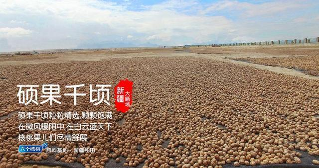 PP电子·5金狮(中国区)游戏官方网站