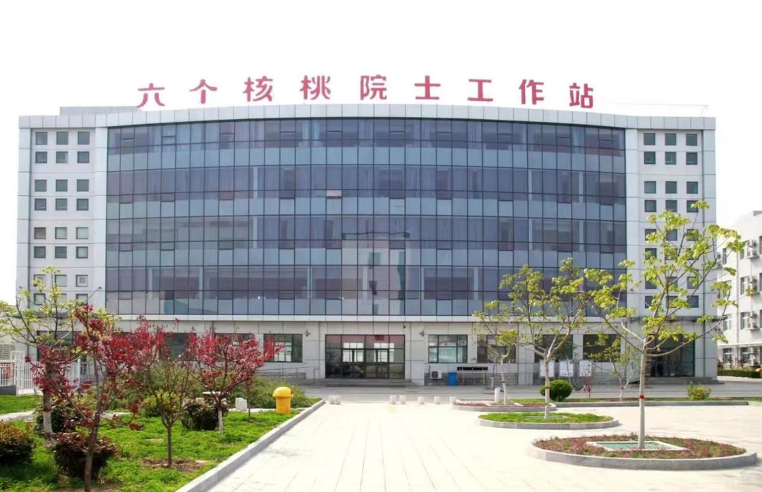 PP电子·5金狮(中国区)游戏官方网站