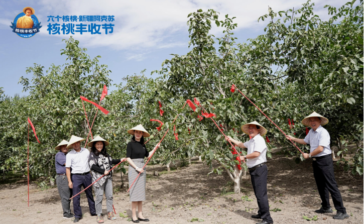 PP电子·5金狮(中国区)游戏官方网站