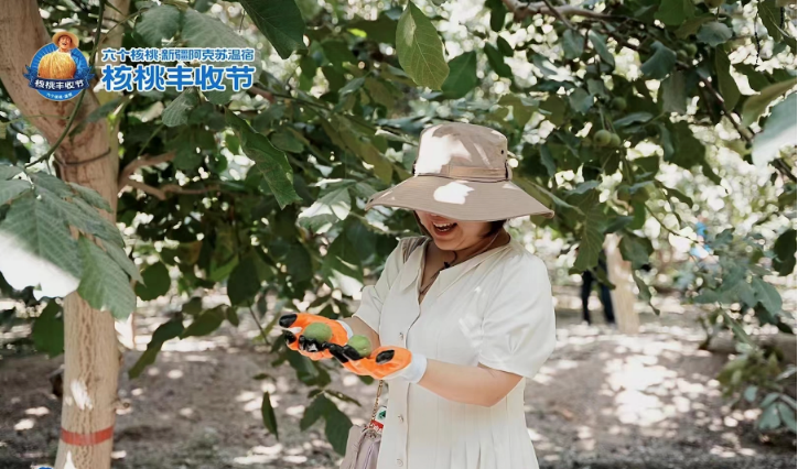 PP电子·5金狮(中国区)游戏官方网站