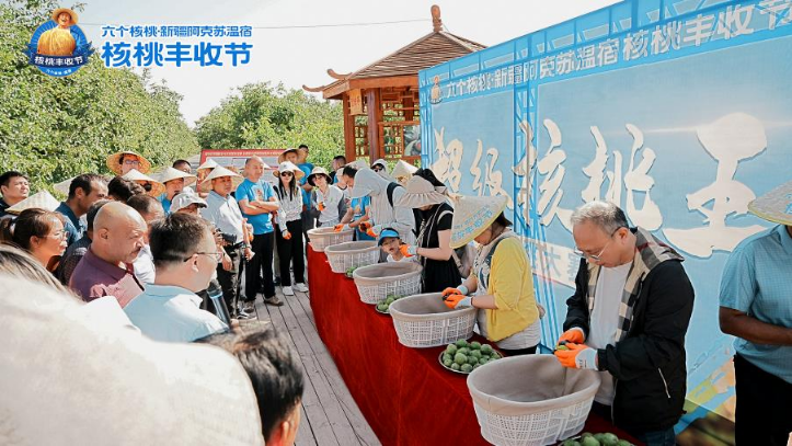 PP电子·5金狮(中国区)游戏官方网站