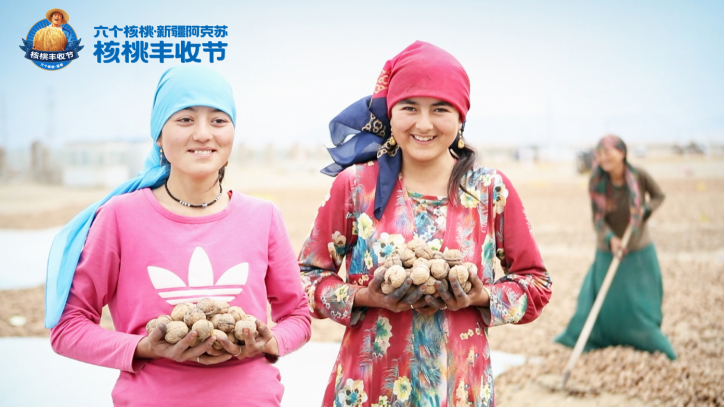 PP电子·5金狮(中国区)游戏官方网站