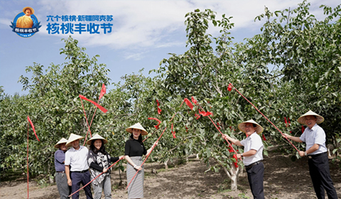 PP电子·5金狮(中国区)游戏官方网站