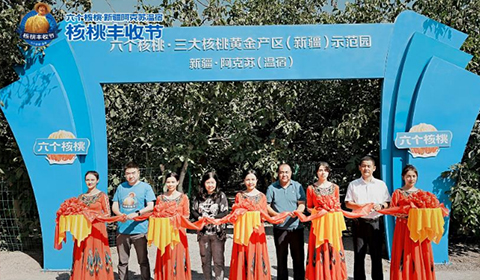 PP电子·5金狮(中国区)游戏官方网站