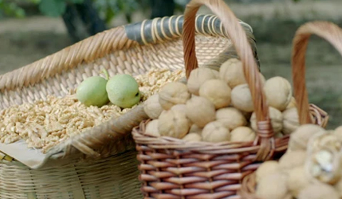 PP电子·5金狮(中国区)游戏官方网站