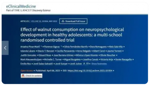 PP电子·5金狮(中国区)游戏官方网站