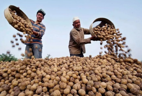 PP电子·5金狮(中国区)游戏官方网站