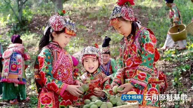 PP电子·5金狮(中国区)游戏官方网站