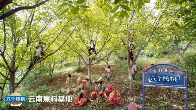 PP电子·5金狮(中国区)游戏官方网站