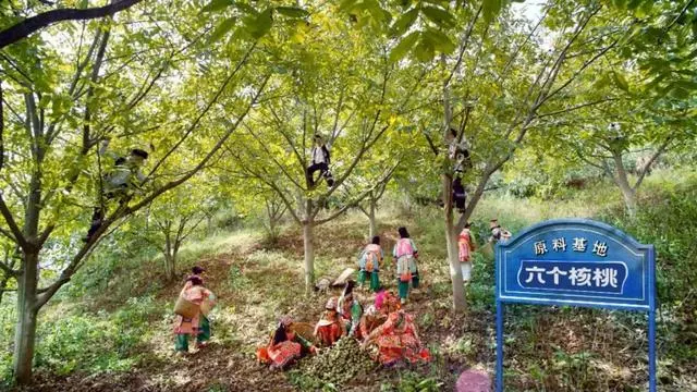 PP电子·5金狮(中国区)游戏官方网站