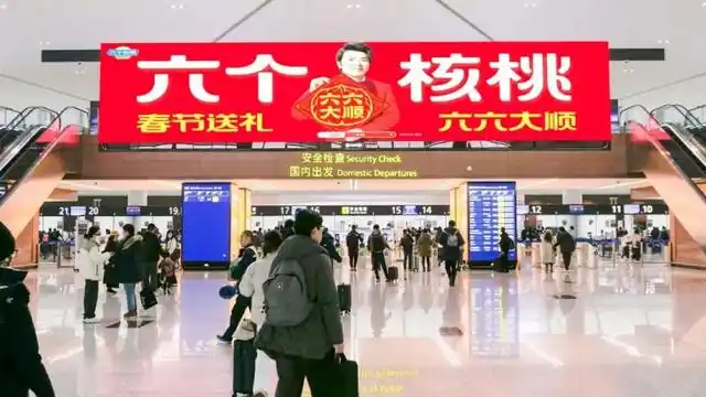 PP电子·5金狮(中国区)游戏官方网站