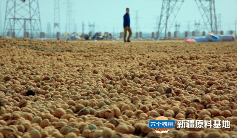 PP电子·5金狮(中国区)游戏官方网站